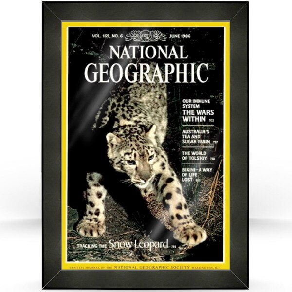 National Geographic Frame Kit